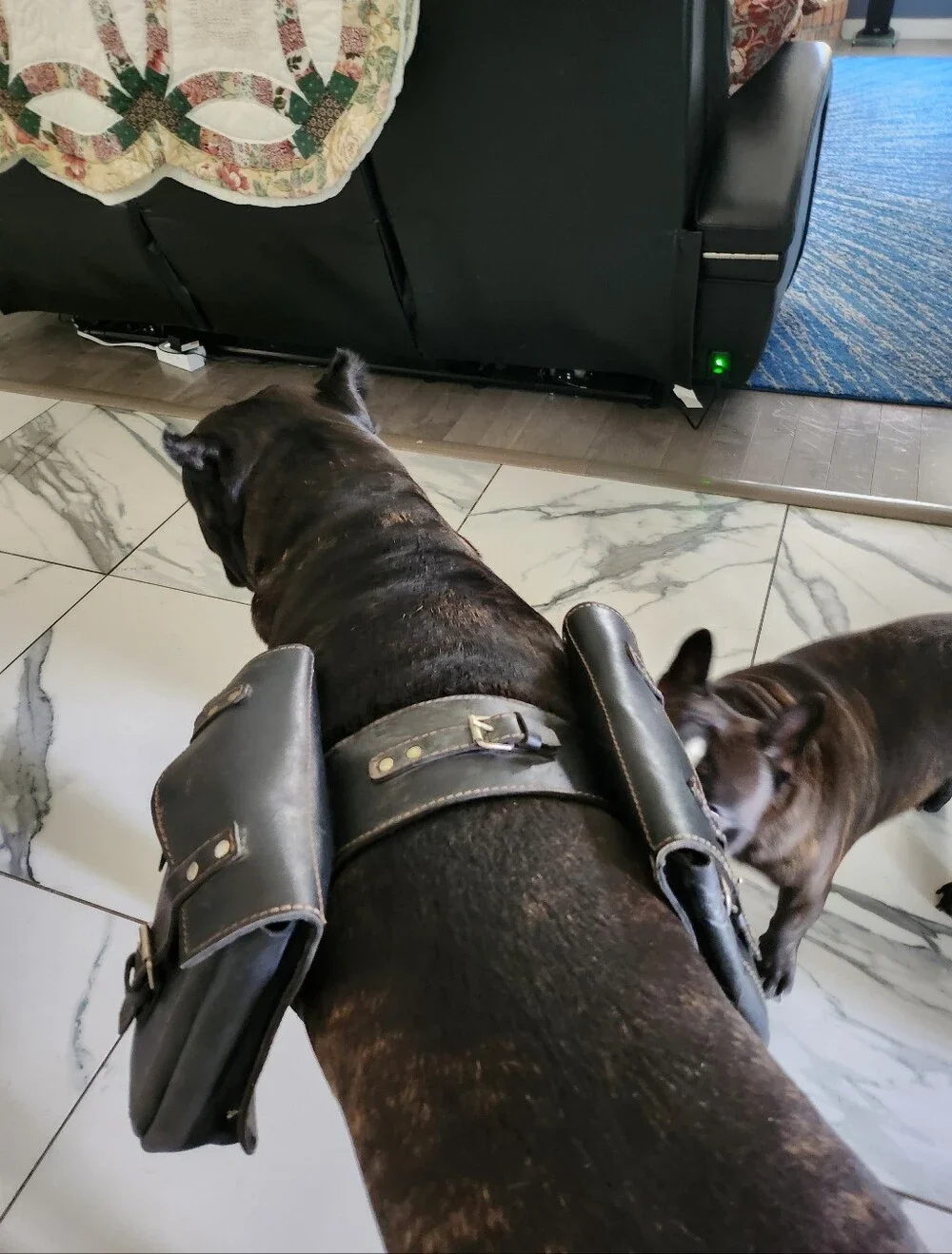 Large Dog Leather Sadle Bag